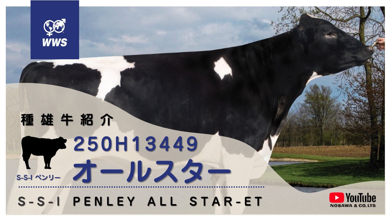 250H13449 オールスター 種雄牛紹介動画をYouTubeにアップしました